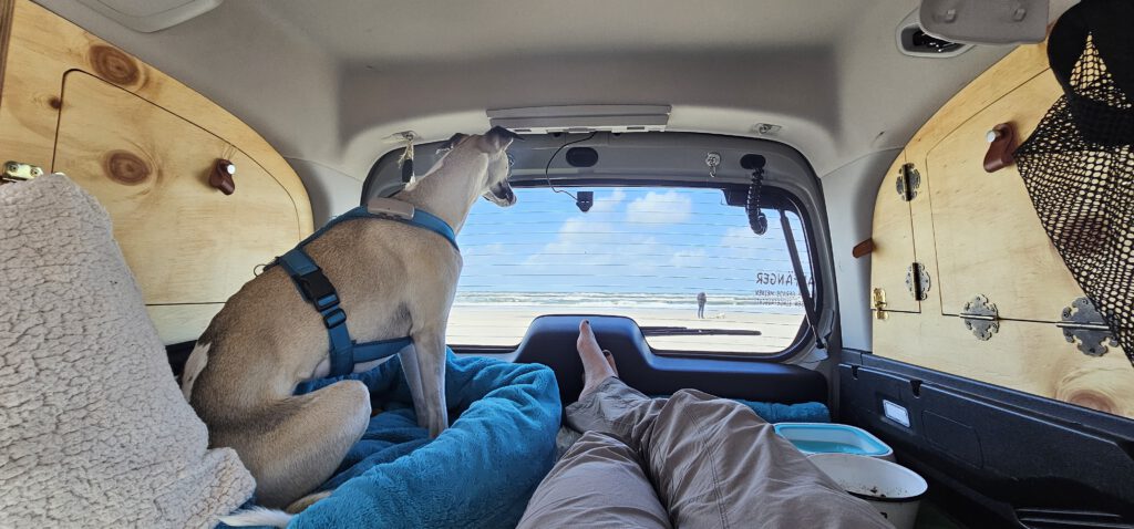 Blick aus der Heckscheibe des Autos auf den Strand. Im gemütlichen Auto sitzt der Hund und liegt Winnie